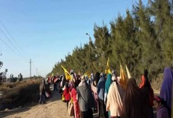 أحرار البحيرة يدعون لوحدة الثوار لإنقاذ البلاد