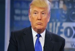 "سي إن إن": ترامب يمتلك شركتين بمصر