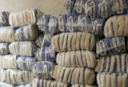 عجز السكر بلغ 80% في ديسمبر