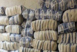 عجز السكر بلغ 80% في ديسمبر