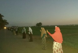 البحيرة : سلسلة بشرية لثوار الدلنجات تطالب بإسقاط الانقلاب
