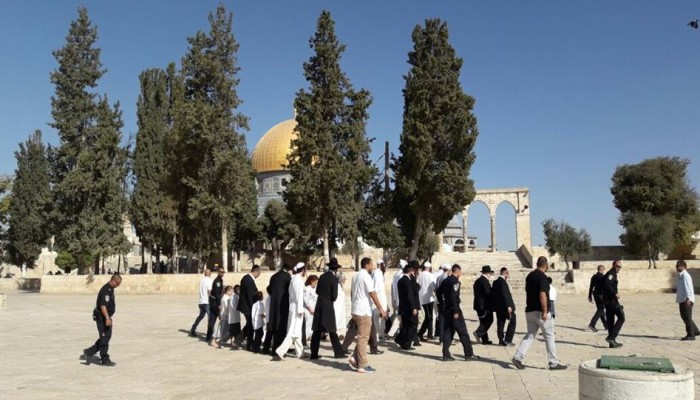 أوقاف القدس: زيادة مدة اقتحام الأقصى اعتداء صارخ على حرمة المسجد