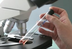 اختراق طبي.. لقاح جديد لمكافحة السرطان