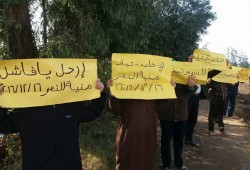 ثوار الدقهلية يواصلون تظاهراتهم تضامنا مع أهالي حلب بجمعة "أزيحوا السيسي وبشار"