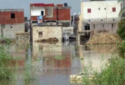 متضرري السيول بكفر الدوار يفضحون كذب السيسى: لم نصرف التعويضات حتى الآن