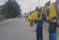 البحيرة : ثوار النوبارية في سلسلة بشرية يحيون صمود الرئيس ويطالبون برحيل العسكر