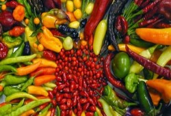 لهذا السبب.. السعودية تحظر استيراد الفلفل المصري