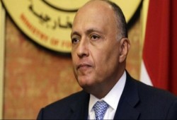 وزير خارحية السيسي : يجب القضاء على كافة المحاربين الفارين من حلب