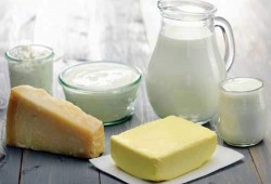 شعبة الألبان: 70 مليار جنيه خسائر" الشركات الغذائية"