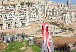 إسرائيل تعلن استمرار الاستيطان وتسحب سفيريها من السنغال ونيوزيلندا