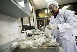 "الصناعة" ترفع رسوم التحاليل والاختبارات بمصلحة الكيمياء 13%