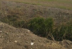 "الري" تفضح وهْم الانقلاب: المياه الجوفية لا تكفي سوى 26% للمليون فدان