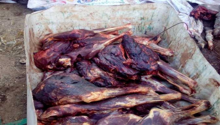 القبض على تاجر بحوزته 3 أطنان لحوم خيول وحمير وكلاب بالقاهرة