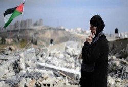 الاحتلال هدم 1023 منشأة فلسطينية خلال عام 2016