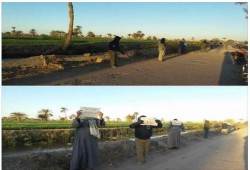 أحرار الفيوم ينددون بتصاعد جرائم الانقلاب