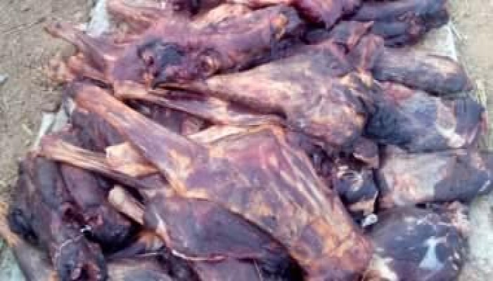 نيابة العمرانية تحيل متهمًا بالاتجار في لحوم الحمير للمحاكمة