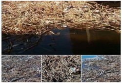 أهالي إيتاي البارود يستغيثون: "الصرف الصحي والقمامة هياكلونا!"