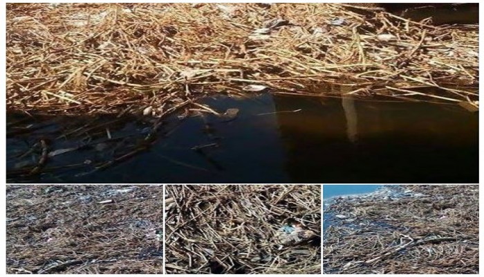 أهالي إيتاي البارود يستغيثون: "الصرف الصحي والقمامة هياكلونا!"