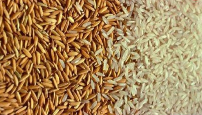 ارتفاع أسعار الأرز الشعير 50 جنيهاً