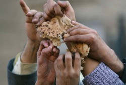 الشعب بيصرخ من الجوع