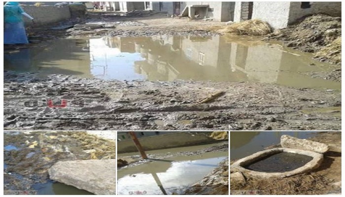 تهالك شبكة الصرف الصحى "بالشوكة" بالبحيرة يثير غضب الأهالي