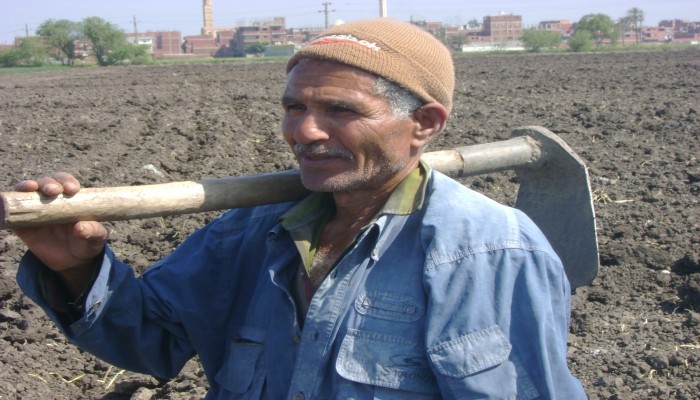 إثيوبيا تمنح الفلاحين أراضي زراعية .. والانقلاب يضطر فلاحي مصر للتوقف عن الزراعة