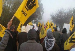 ثوار فاقوس بالشرقية  يدشنون"يناير يجمعنا" ومصرية "تيران وصنافير" .