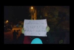 مسيرة ليلية لثوار ديرب نجم بالشرقية ضمن موجة "ارحل"