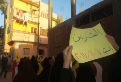 ثوار القرين يواصلون تظاهراتهم في ثانِ أيام إسبوع " يناير يجمعنا "