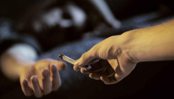 مصر الأولى بـ"الحشيش".. و27% من الإناث يتعاطين المخدرات!