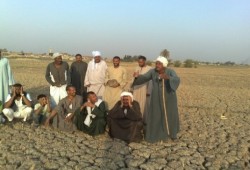 استمرارًا للفشل.. بوار 34 ألف فدان بأسوان