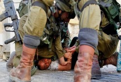 سلطات الاحتلال تعتقل 24 فلسطينيًا في الضفة الغربية