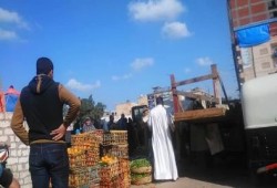 حملات إزالة بحوش عيسى.. والباعة: "ده ذنب الإخوان"