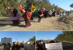 مسيرة وسلسلة بشرية لثوار النوبارية تردد "يناير يجمعنا"