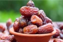 8 فوائد لتناول التمر في الشتاء