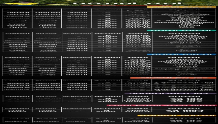 ننشر جدول مواعيد مبارايات كأس الأمم الأفريقية بالجابون