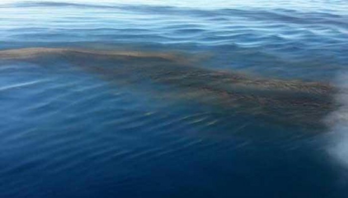 تسرب بقعة سولار في مياه النيل شمال أسوان