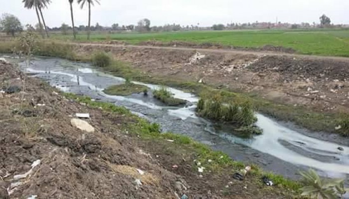 نقص مياه الري يهدد آلاف الأفدنة في الشرقية  بالبوار
