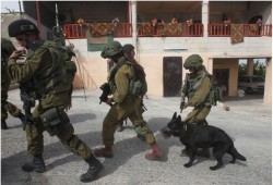 الكيان الصهيونى يشن حملة اعتقالات بالضفة