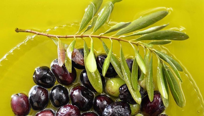 إرتفاع صادرات تركيا من الزيت إلى "عواصم الزيتون"
