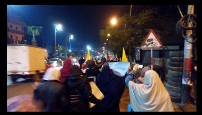 فاعلية ليلية لثوار ديرب نجم بالشرقية استعداد لموجة 25 يناير