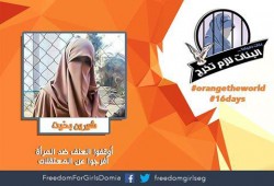 تدهور الحالة الصحية للصحفية المعتقلة "شيرين بخيت" ومطالب بالإفراج الصحي عنها