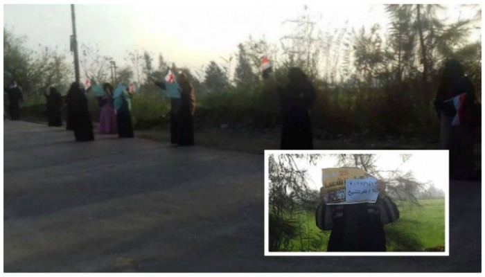 فعالية مناهضة للانقلاب لثوار بيلا بكفر الشيخ
