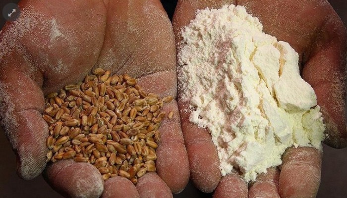 صادرات تركيا من الدقيق تحطم رقمًا قياسيًا عالميا