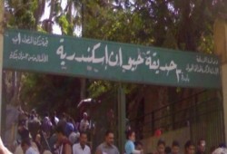 محافظ الإسكندرية الانقلابي يُخصص حديقة الحيوان للتظاهر بدون تصريح!!