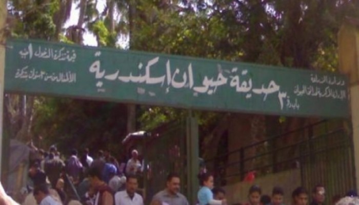 محافظ الإسكندرية الانقلابي يُخصص حديقة الحيوان للتظاهر بدون تصريح!!