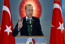 أردوغان: منظمة غولن استغلت دعم الدولة للقضاء للتغلغل فيه