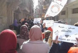 مسيرات بدمنهور وكفر الدوار: يناير يجمعنا