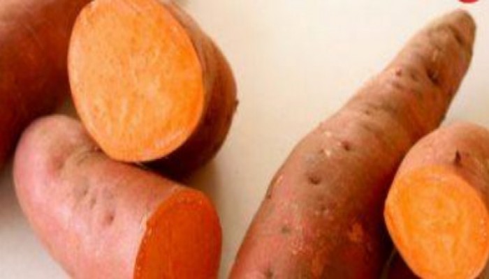 قائمة أطعمة للشتاء.. للتدفئة والمساعدة على التخسيس