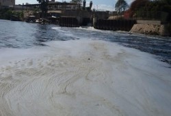 من جديد .. ظهور بقعة زيت بنهر النيل بالدقهلية